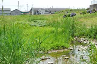 小垣江公園ビオトープの画像